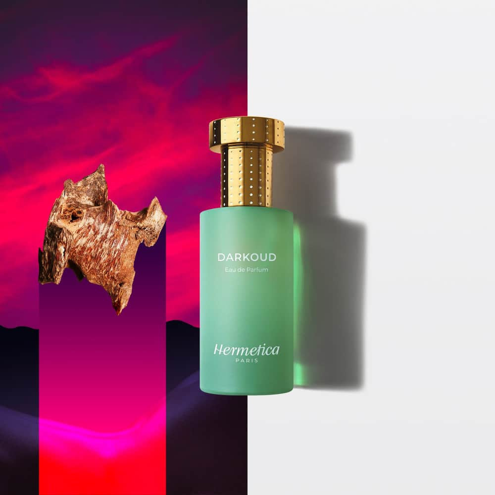 DARKOUD (100% off) - Hermetica Paris